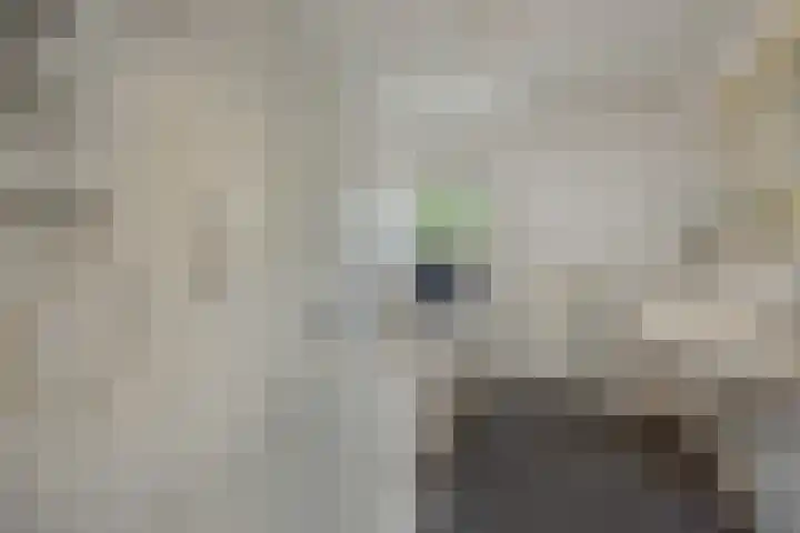 Schout van Brechtstraat 17 's-Hertogenbosch thumbnail 18