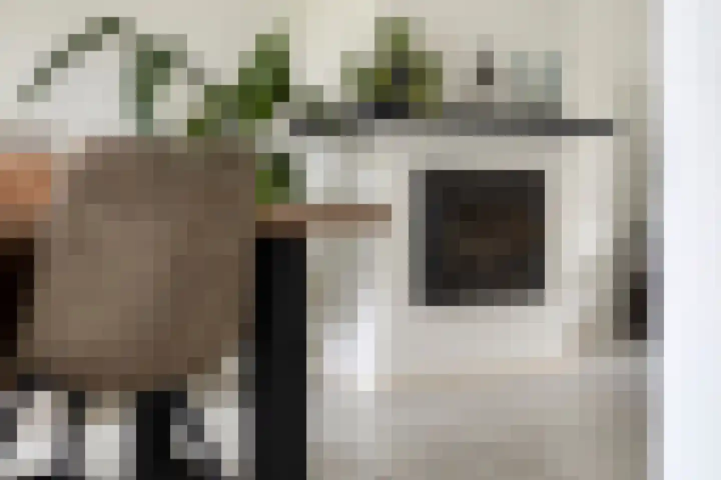 Schout van de Wouwstraat 13 Moergestel thumbnail 15