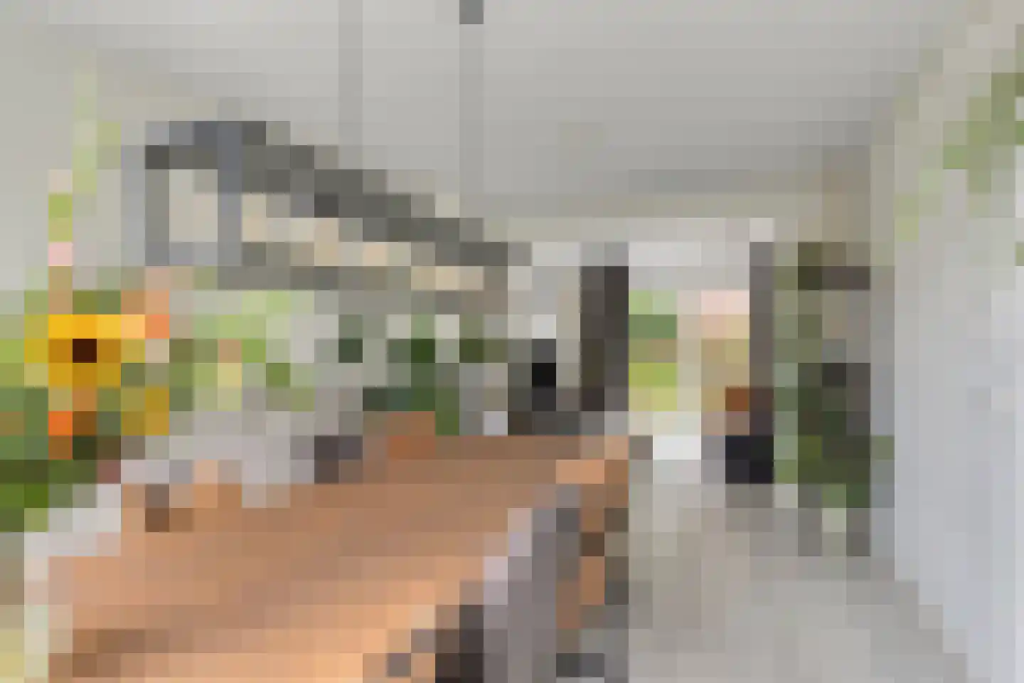 Schout van de Wouwstraat 13 Moergestel thumbnail 16