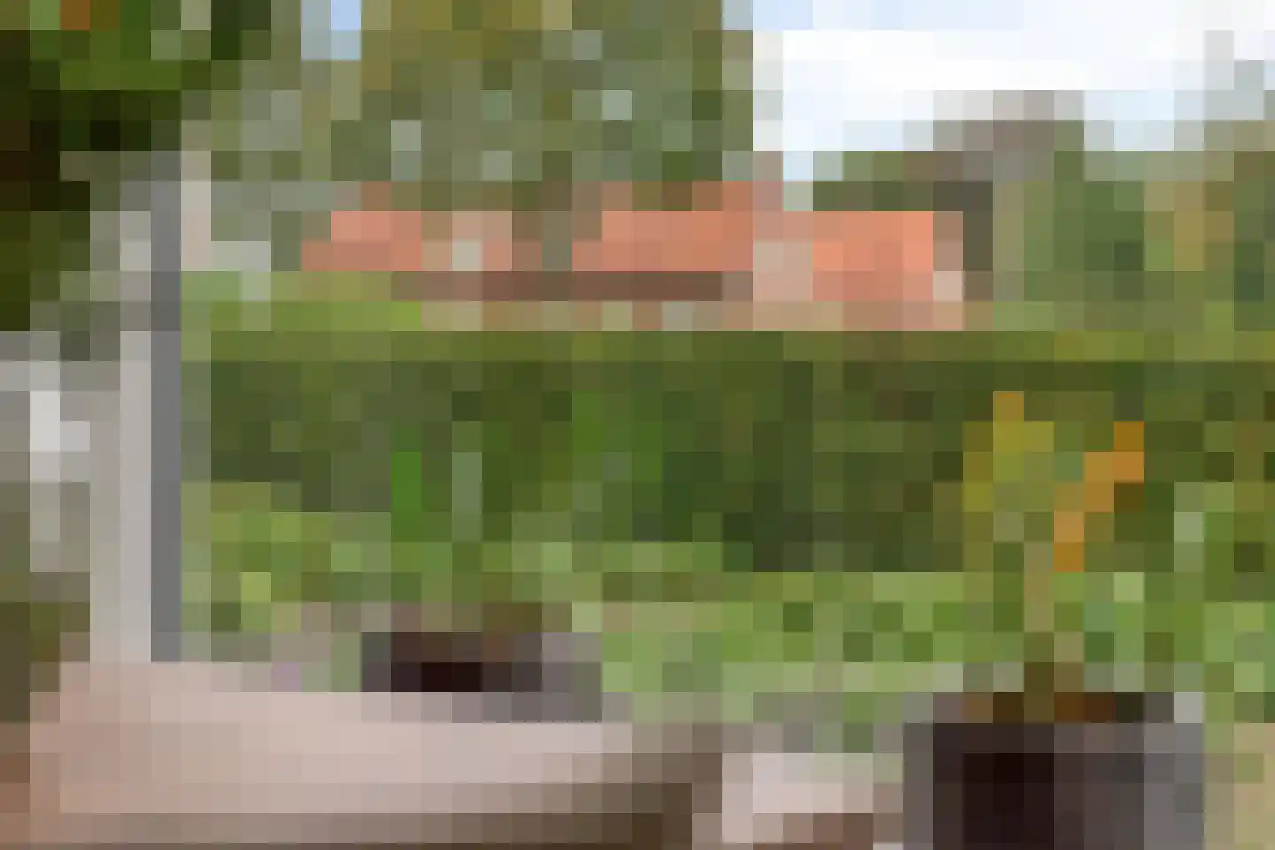 Schout van de Wouwstraat 13 Moergestel thumbnail 18