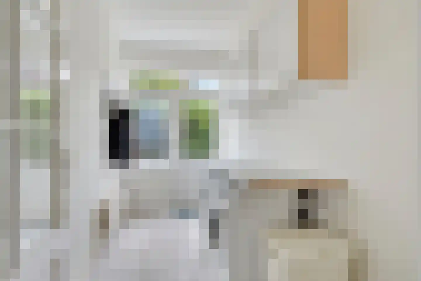 Schout van de Wouwstraat 13 Moergestel thumbnail 22