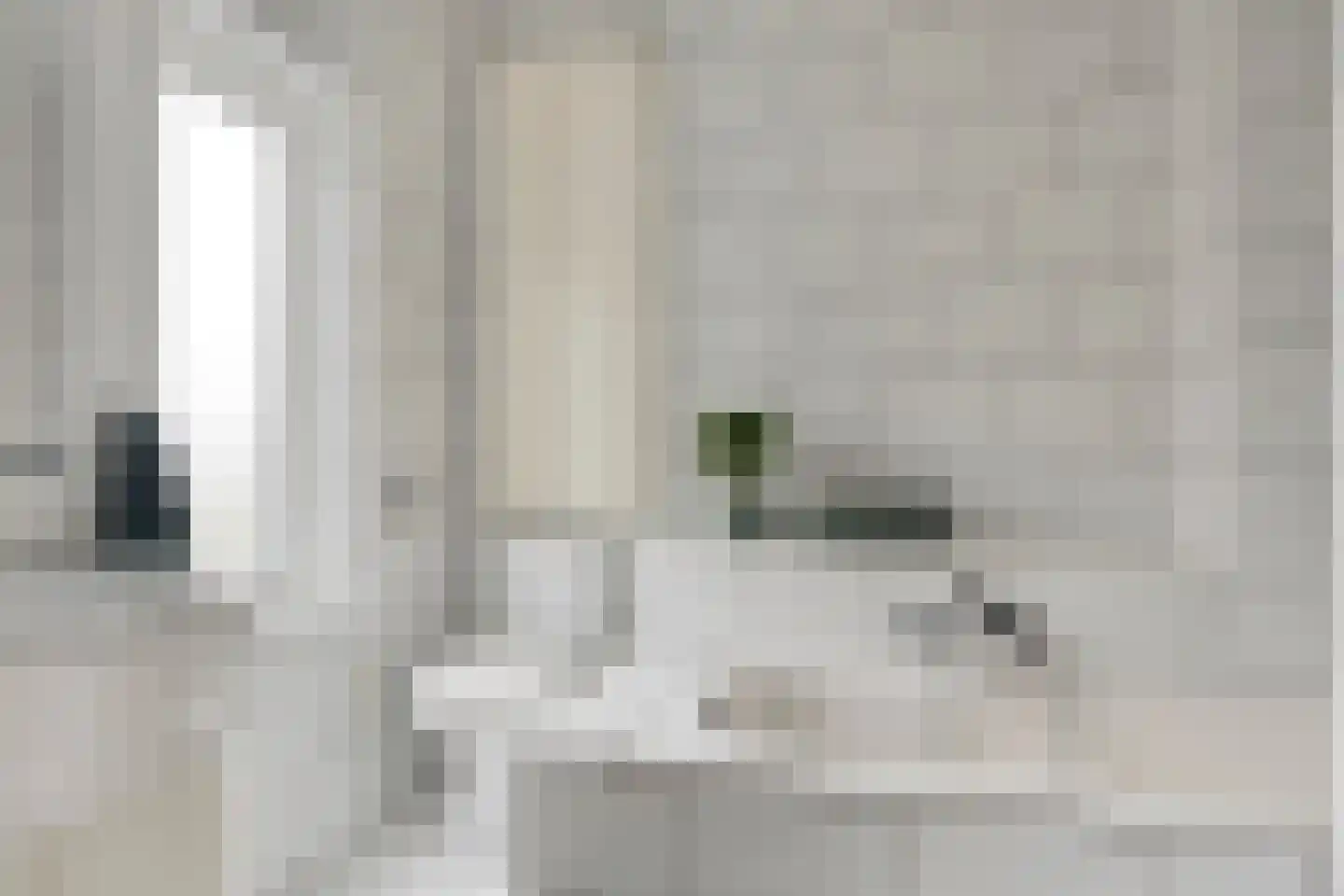 Schout van de Wouwstraat 13 Moergestel thumbnail 30