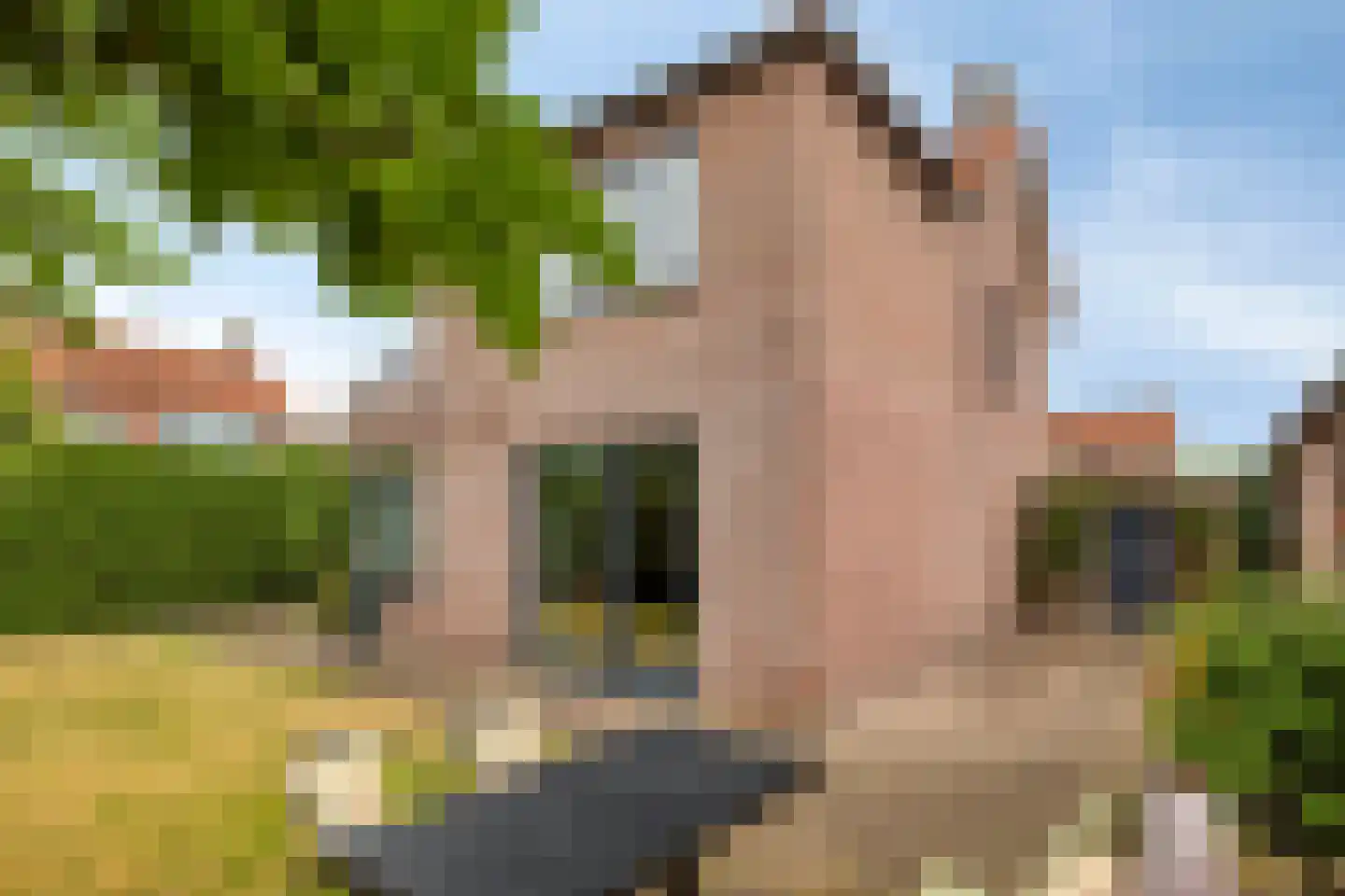Schout van de Wouwstraat 13 Moergestel thumbnail 35