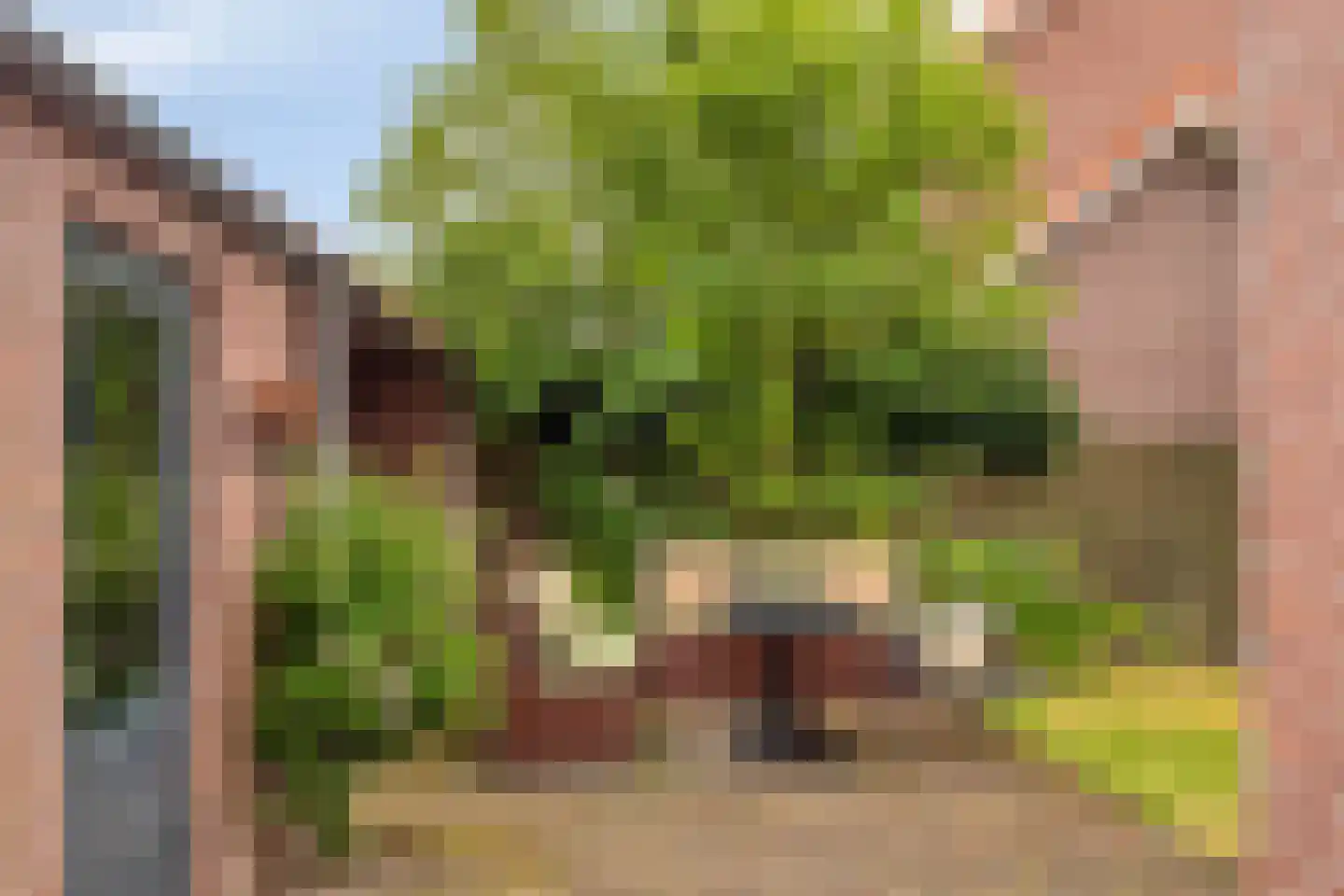 Schout van de Wouwstraat 13 Moergestel thumbnail 37