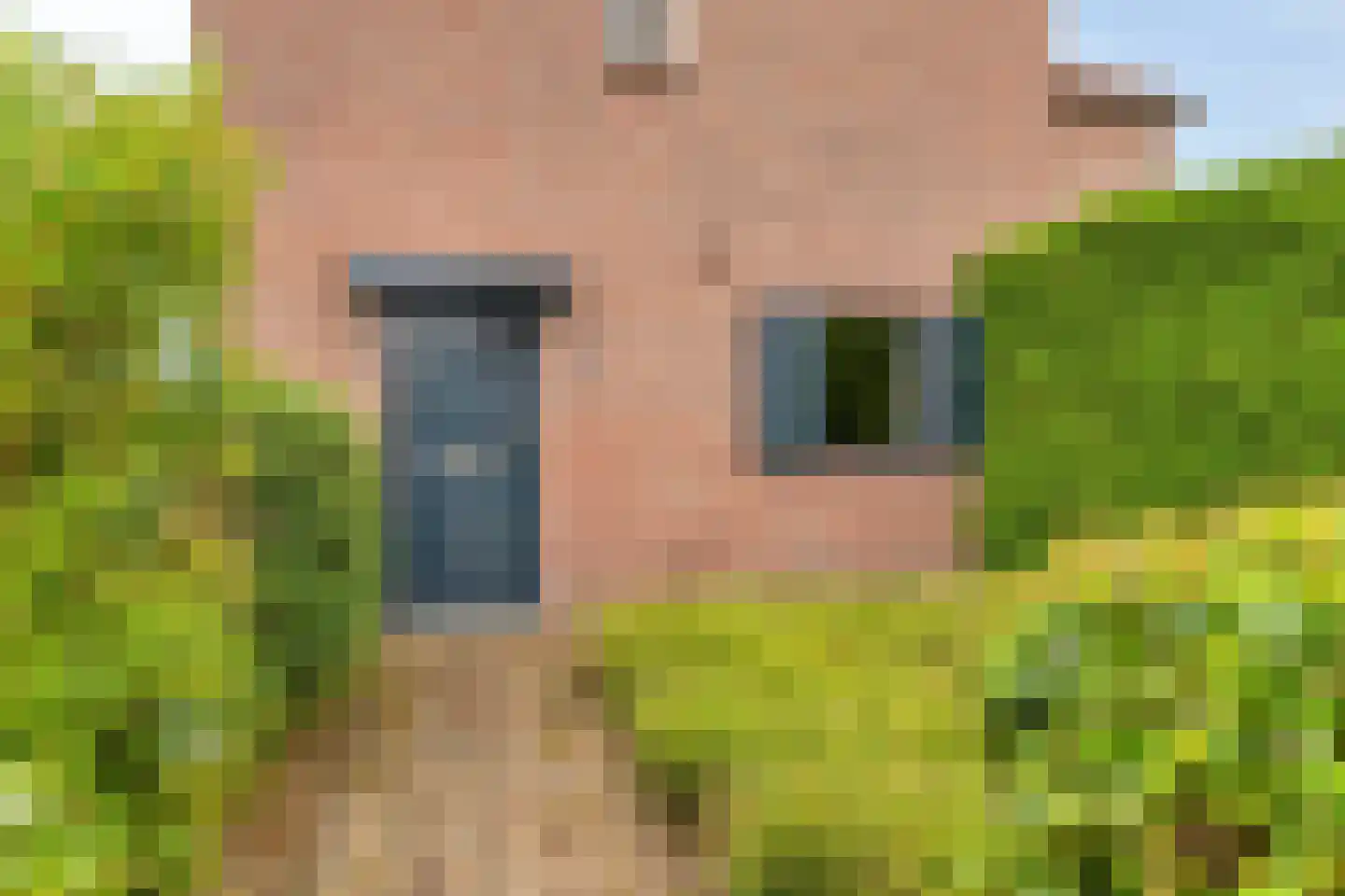 Schout van de Wouwstraat 13 Moergestel thumbnail 7