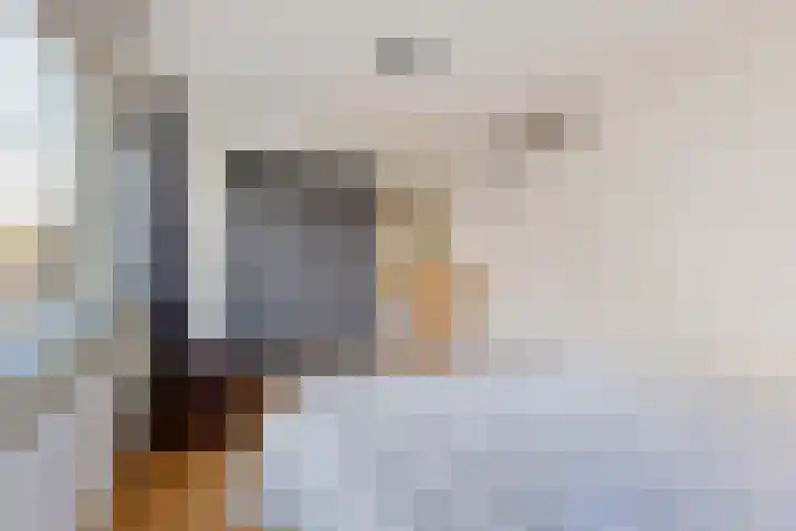 Schout van der Dussensingel 20 's-Hertogenbosch thumbnail 24