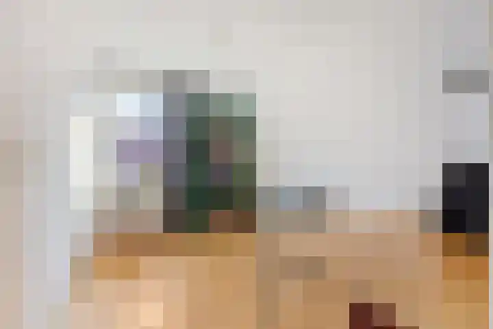 Schout van der Dussensingel 20 's-Hertogenbosch thumbnail 27