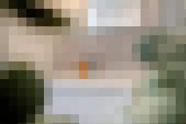 Schout van der Dussensingel 20 's-Hertogenbosch thumbnail 30