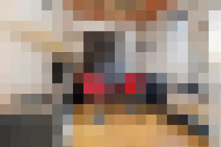 Schout van der Dussensingel 20 's-Hertogenbosch thumbnail 32