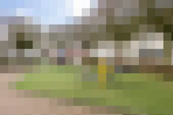 Schout van der Dussensingel 20 's-Hertogenbosch thumbnail 36