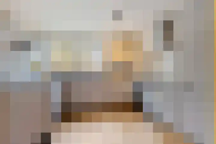 Schout van der Dussensingel 20 's-Hertogenbosch thumbnail 6