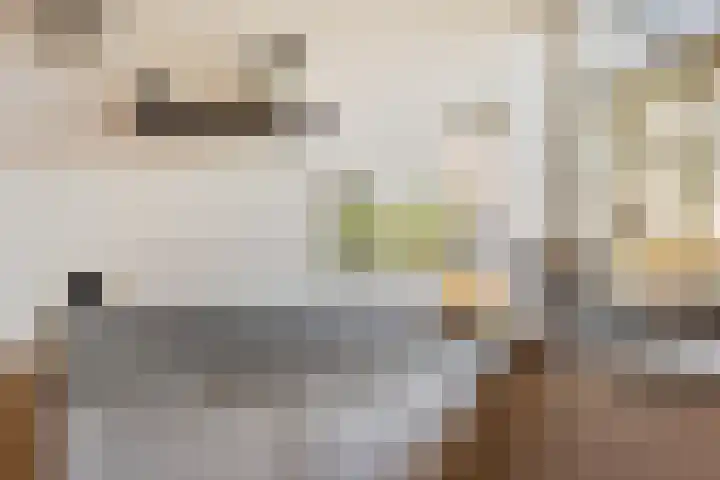 Schout van der Dussensingel 20 's-Hertogenbosch thumbnail 7