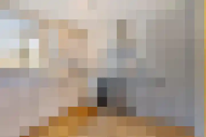 Schout van der Dussensingel 20 's-Hertogenbosch thumbnail 8