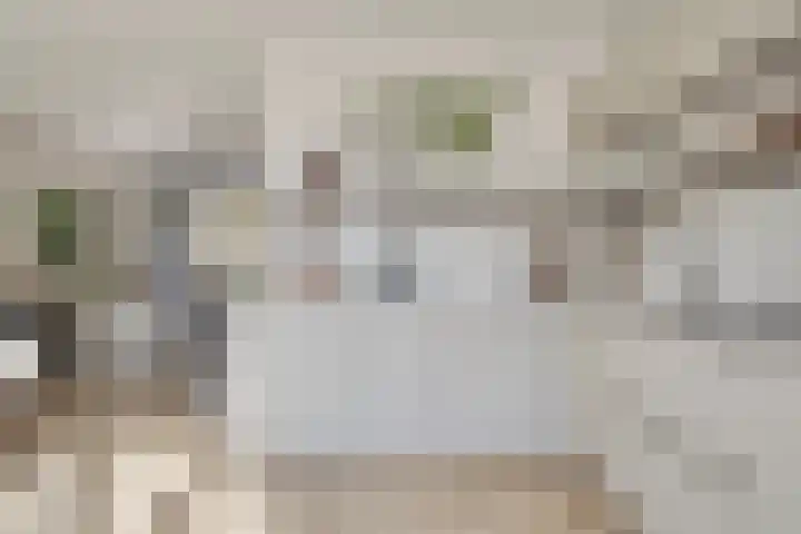 Schout van der Dussensingel 23 's-Hertogenbosch thumbnail 13