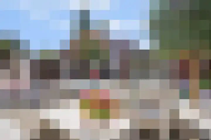 Schout van der Dussensingel 23 's-Hertogenbosch thumbnail 18