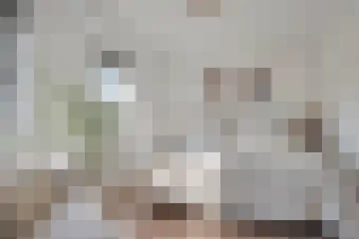 Schout van der Dussensingel 23 's-Hertogenbosch thumbnail 24