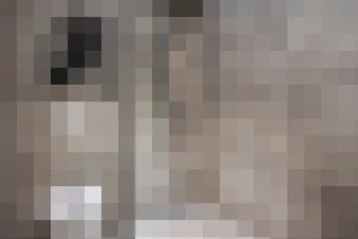 Schout van der Dussensingel 23 's-Hertogenbosch thumbnail 31