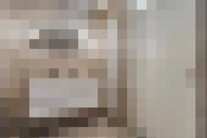 Schout van der Dussensingel 23 's-Hertogenbosch thumbnail 32