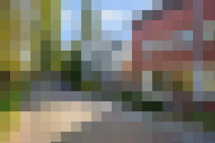 Schout van der Dussensingel 23 's-Hertogenbosch thumbnail 39
