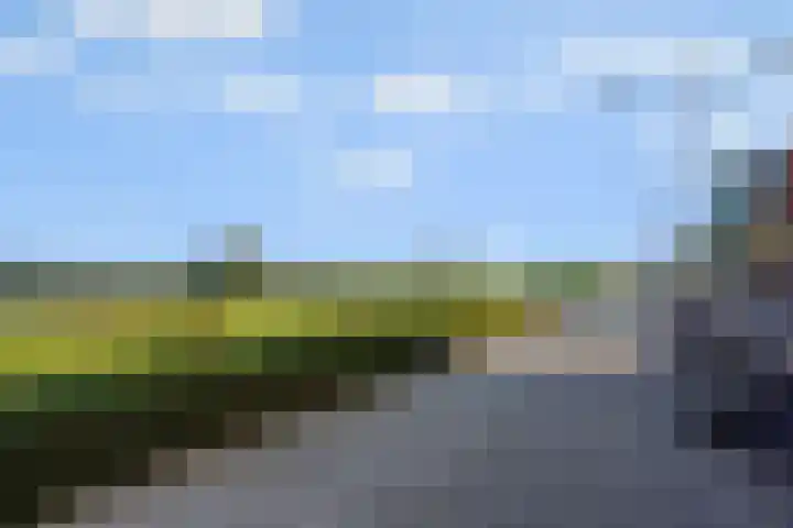 Schout van der Dussensingel 23 's-Hertogenbosch thumbnail 42