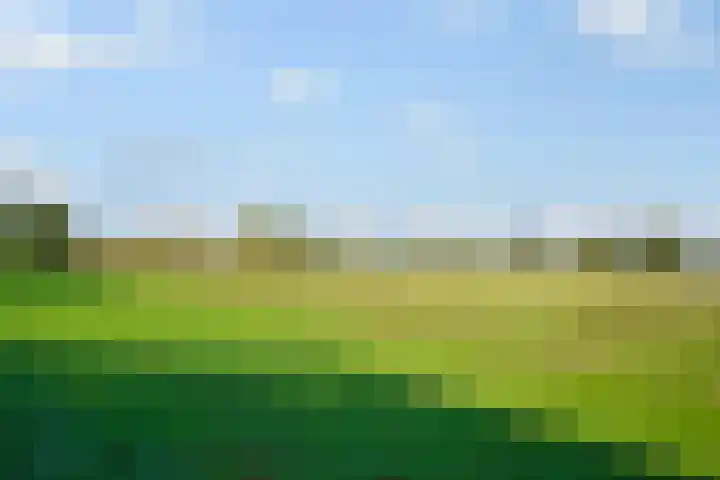 Schout van der Dussensingel 23 's-Hertogenbosch thumbnail 43