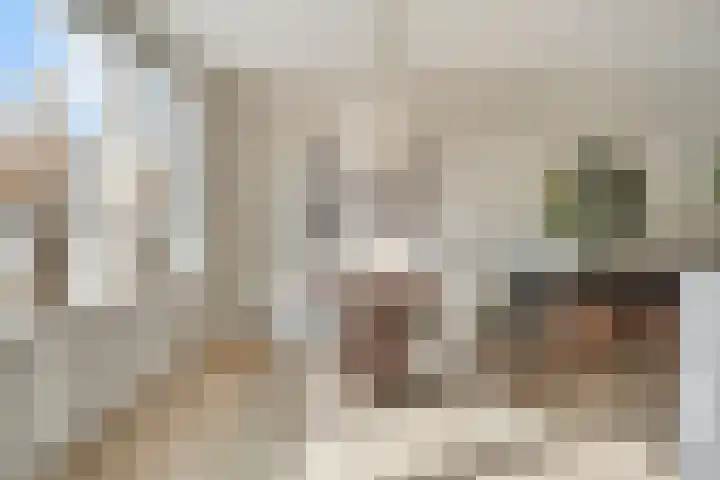 Schout van der Dussensingel 23 's-Hertogenbosch thumbnail 8
