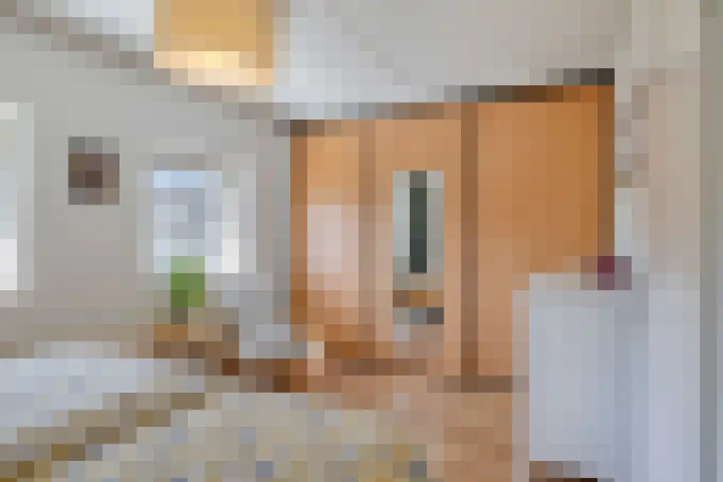 Schout van der Dussensingel 39 's-Hertogenbosch thumbnail 22
