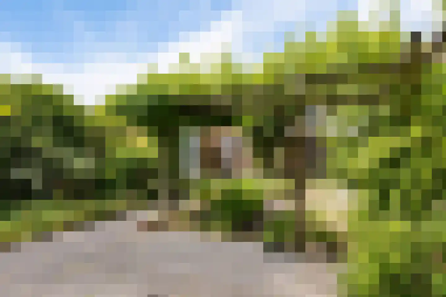 Schout van der Dussensingel 5 's-Hertogenbosch thumbnail 18