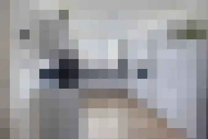 Schout Van der Lelylaan 47 Rotterdam thumbnail 12