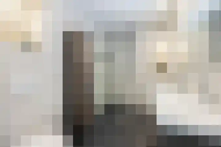 Schout Van der Lelylaan 47 Rotterdam thumbnail 19