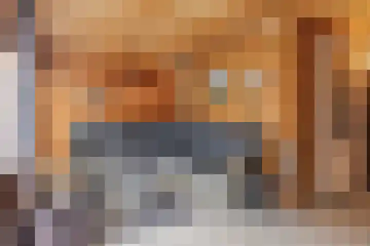 Schout Van der Lelylaan 47 Rotterdam thumbnail 30