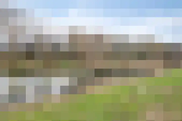 Schout Van der Lelylaan 47 Rotterdam thumbnail 32