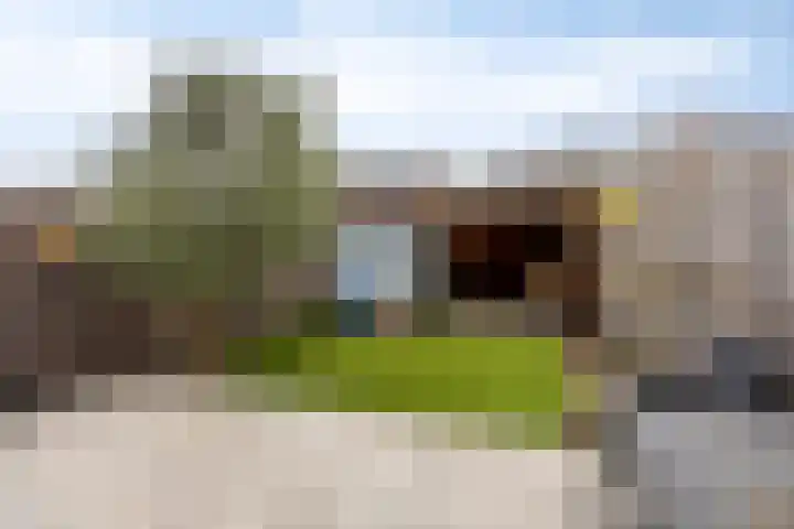 Schout Van der Lelylaan 47 Rotterdam thumbnail 4