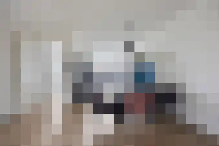 Schout Van der Lelylaan 47 Rotterdam thumbnail 9