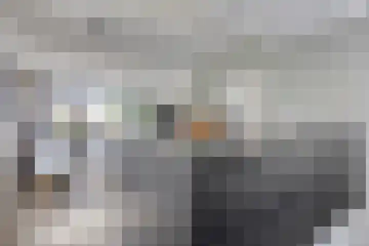 Schout van der Voortstraat 17 Panningen thumbnail 10