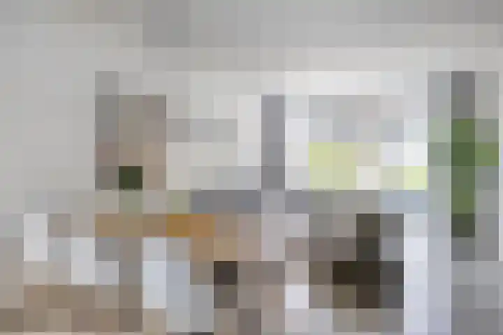 Schout van der Voortstraat 17 Panningen thumbnail 13