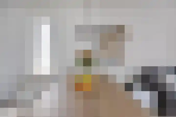 Schout van der Voortstraat 17 Panningen thumbnail 14