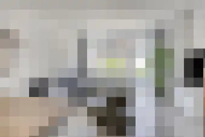 Schout van der Voortstraat 17 Panningen thumbnail 15