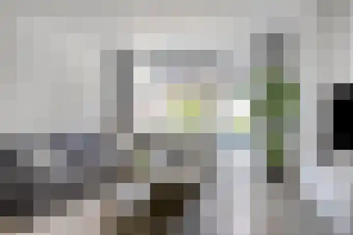 Schout van der Voortstraat 17 Panningen thumbnail 16