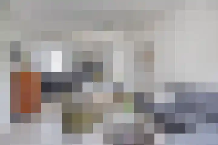 Schout van der Voortstraat 17 Panningen thumbnail 17