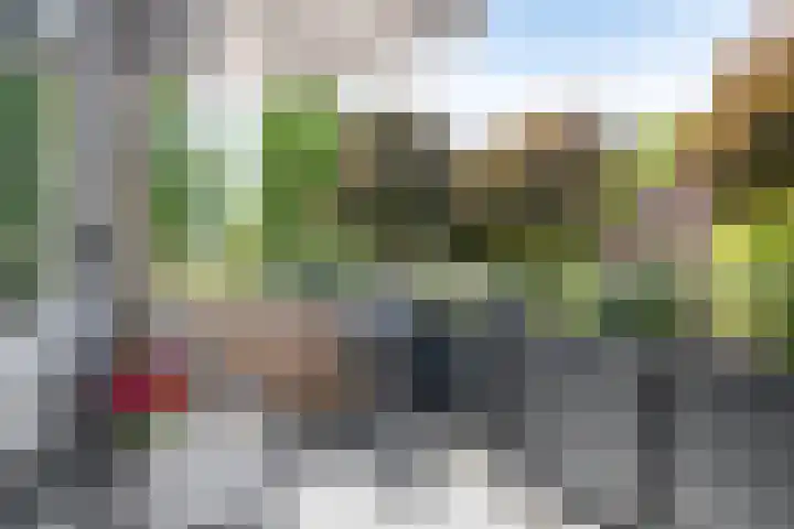 Schout van der Voortstraat 17 Panningen thumbnail 19