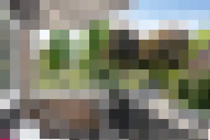 Schout van der Voortstraat 17 Panningen thumbnail 20