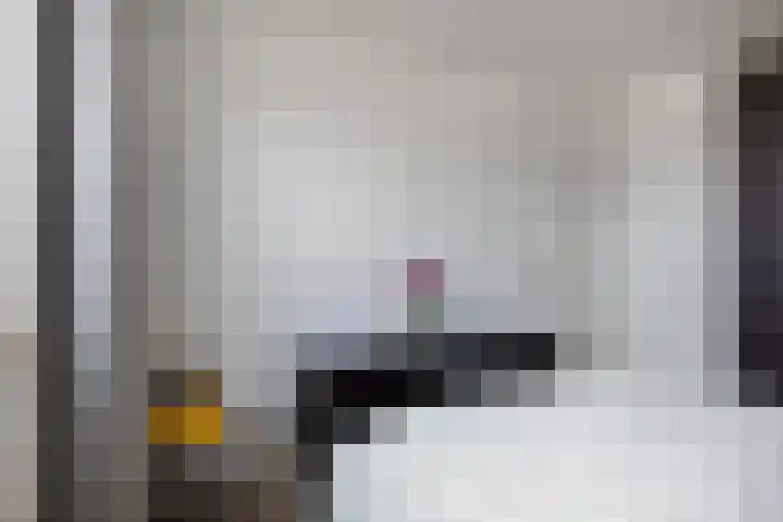 Schout van der Voortstraat 17 Panningen thumbnail 22