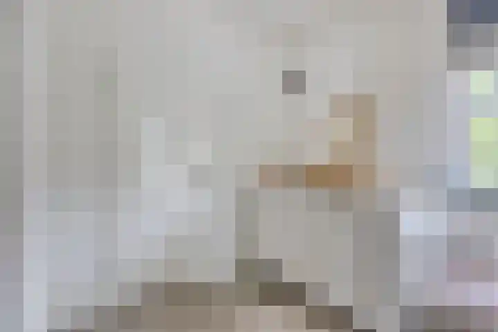 Schout van der Voortstraat 17 Panningen thumbnail 24