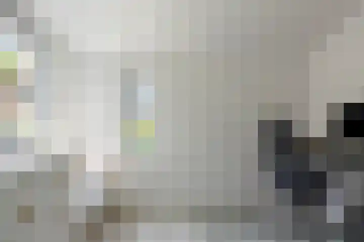 Schout van der Voortstraat 17 Panningen thumbnail 25