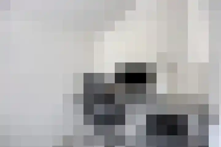 Schout van der Voortstraat 17 Panningen thumbnail 26