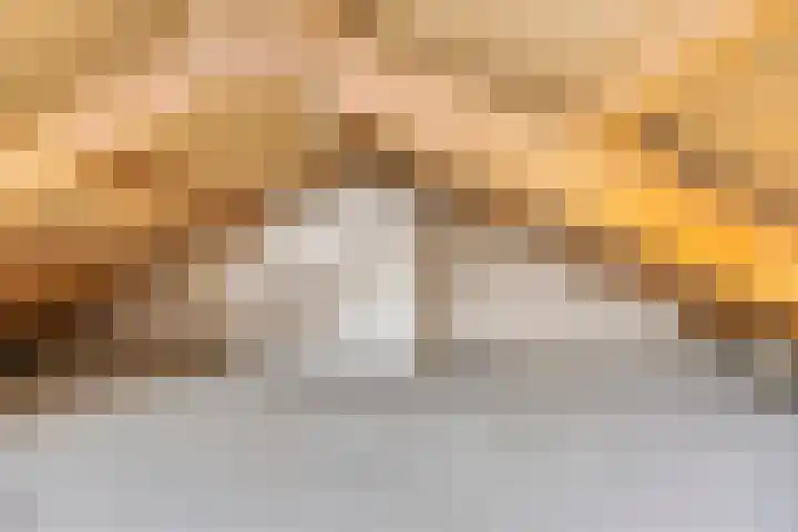Schout van der Voortstraat 17 Panningen thumbnail 30