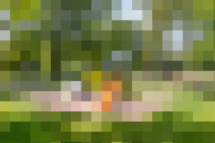 Schout van der Voortstraat 17 Panningen thumbnail 33