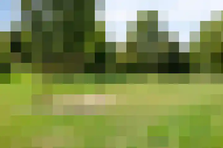 Schout van der Voortstraat 17 Panningen thumbnail 34