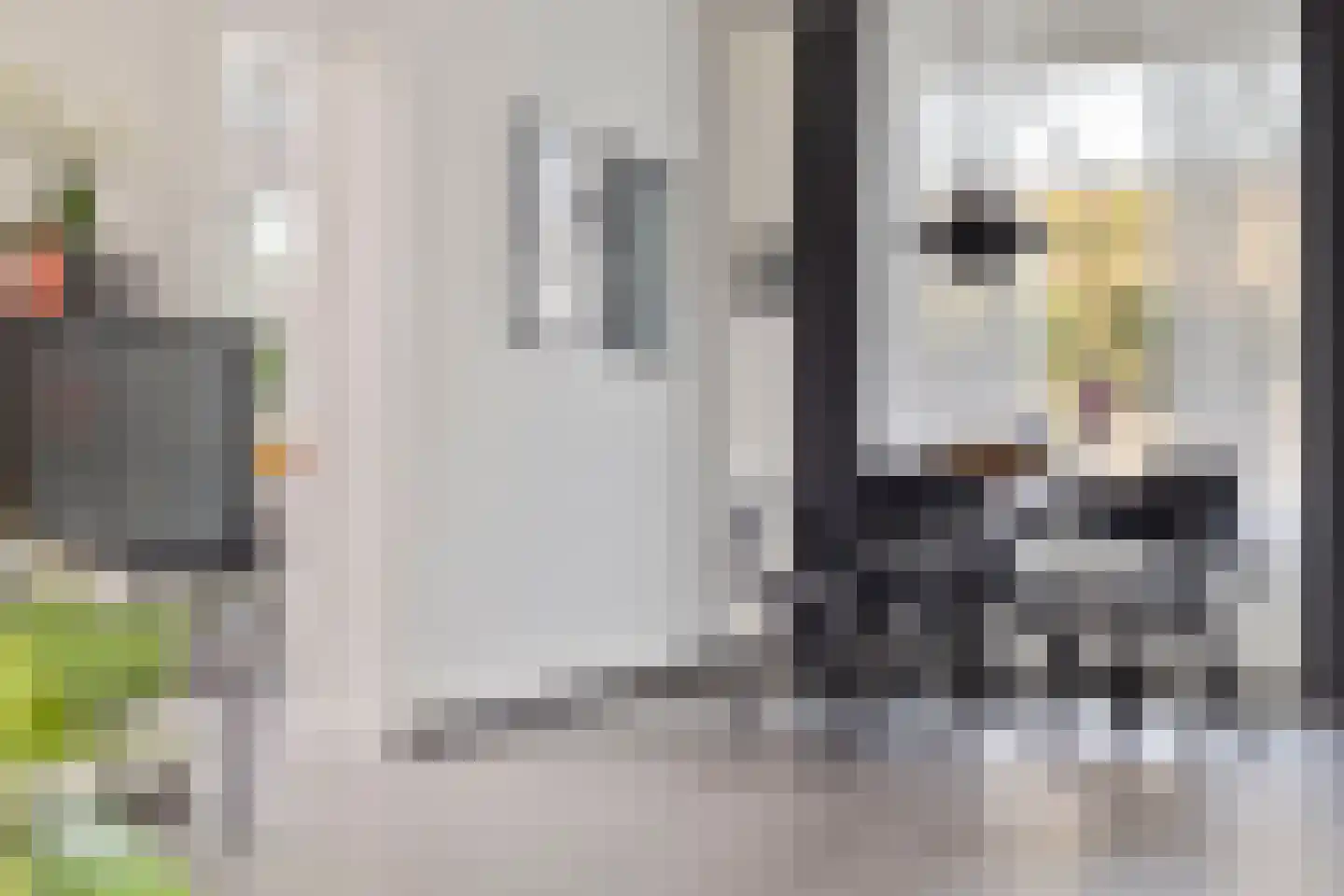 Schout van der Voortstraat 4 Panningen thumbnail 10